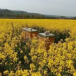 Lägenhet Naturferien Am Hilkenber 3 Pers *