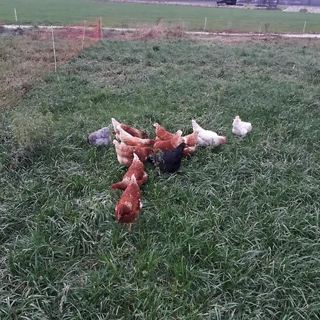 Gaestehaus Am Hilkenberg Og *