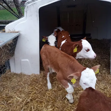 아파트 Oekoferien 