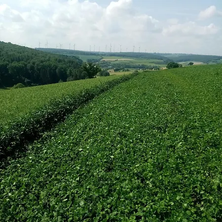 Gaestehaus Am Hilkenberg Og Lichtenau (Westphalia)
