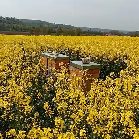 Apartment Gaestehaus Am Hilkenberg Og *