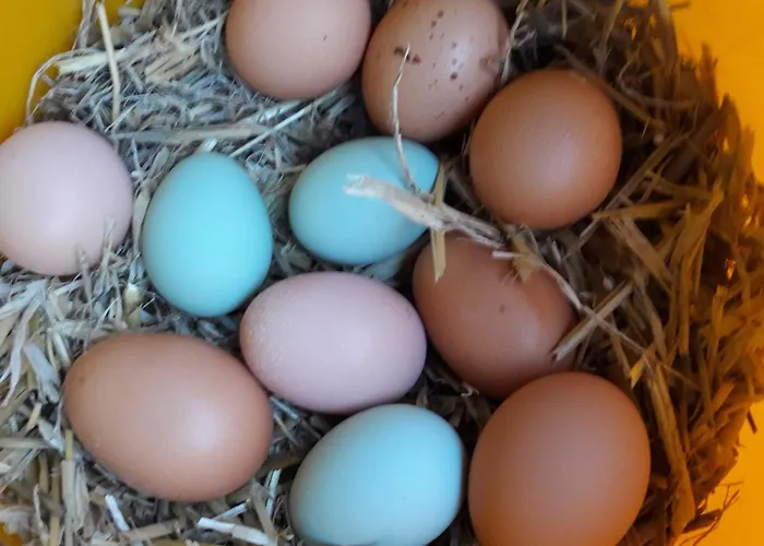 Appartamento Oekoferien 